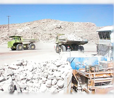 COMPAÑÍA OCCIDENTAL MEXICANA. MINERIA en  Isla de San Marcos, B.C.S. — Obras de reparacion de sistemas electricos, reparacion de regulador de voltaje de los generadores. Mantenimiento del sistema electrico de los megacamiones materialistas. Mantenimiento de la linea de distribucion en media tension.